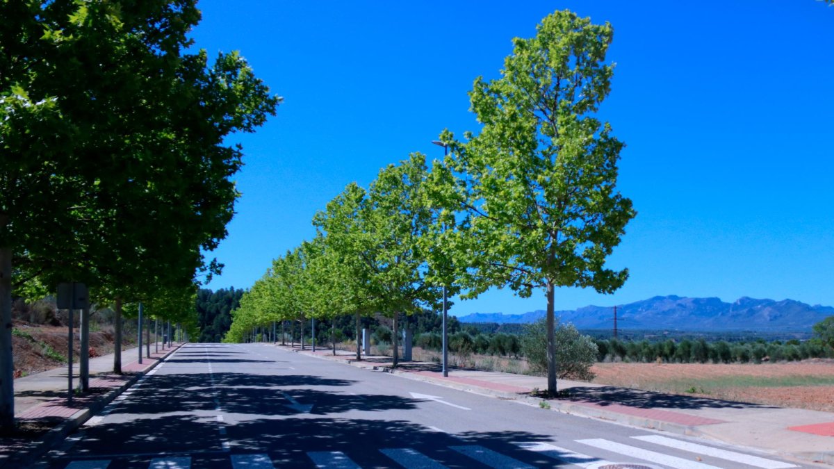 Més de 100.000 metres quadrats de sòl industrial, la pràctica totalitat del polígon, continuen encara en venda.