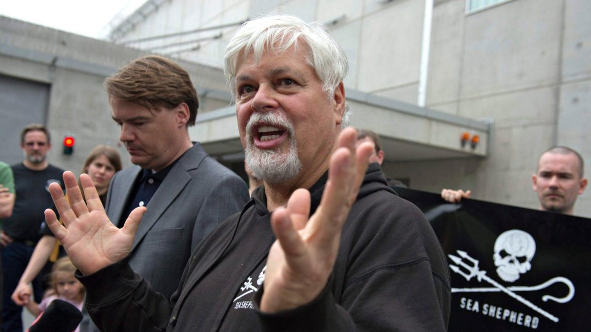 Imagen del activista medioambiental Paul Watson.