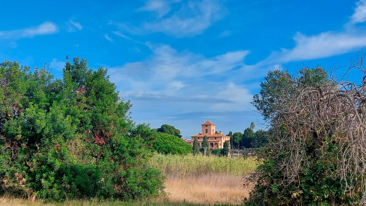 Emplazamiento de la futura balsa.
