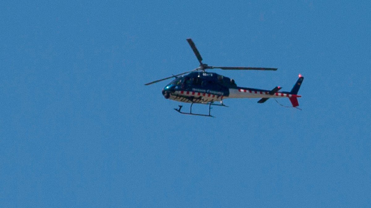 En el dispositivo ha participado también un helicóptero de Mossos.