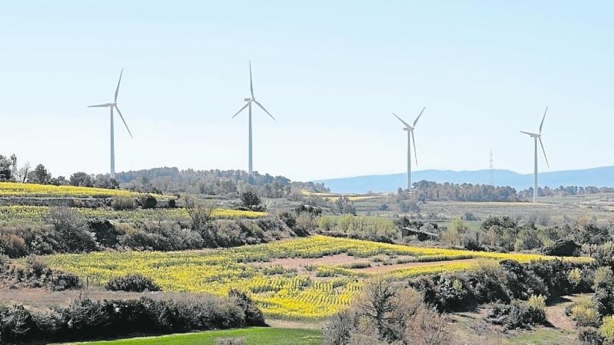 Otorguen l’autorització administrativa per construir una planta solar de 875 kW