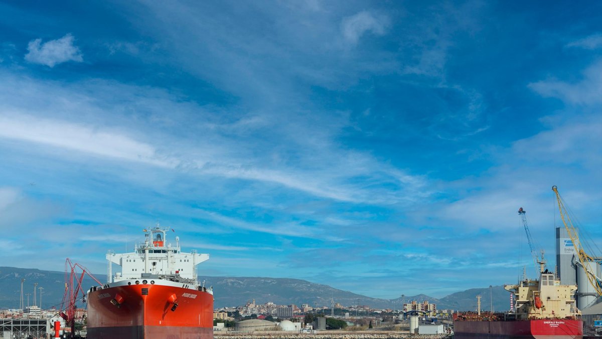 Los líquidos y los agroalimentarios mantienen la fortaleza del Port de Tarragona.