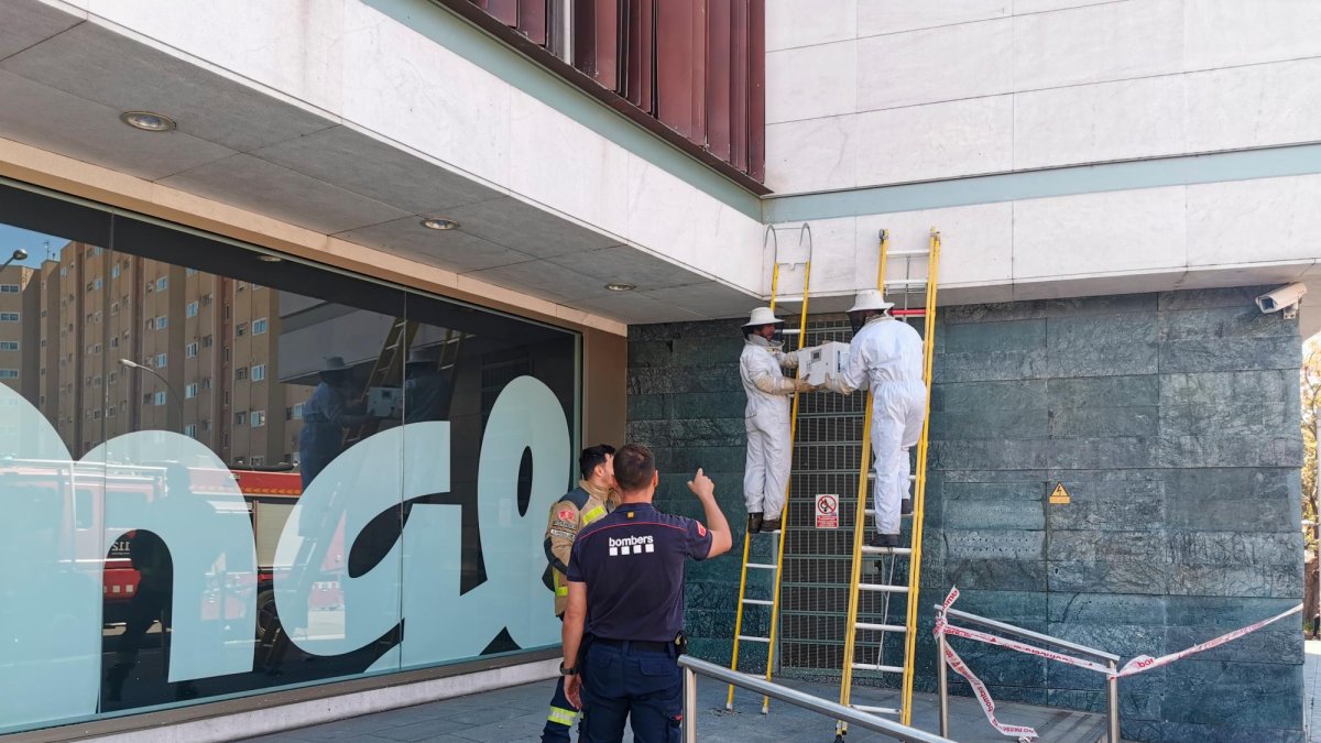 Los bomberos en el momento de retirar el nido.