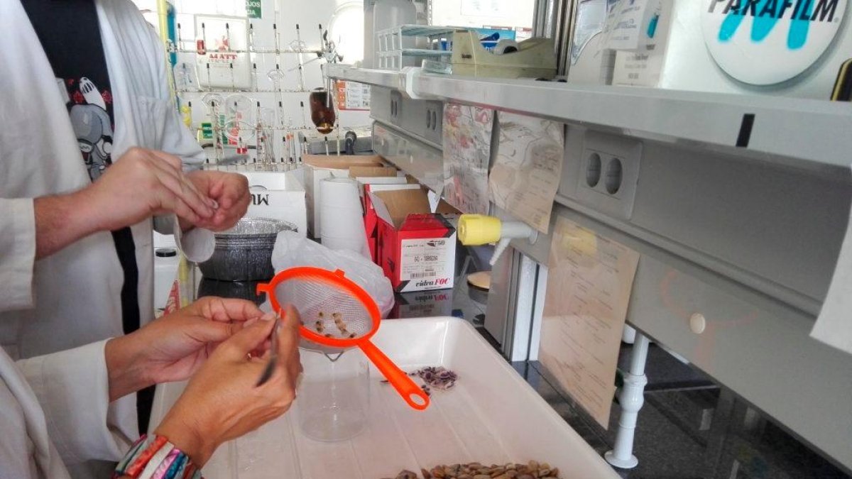 Miembros del grupo de investigación durante la recogida de muestras de microplásticos.