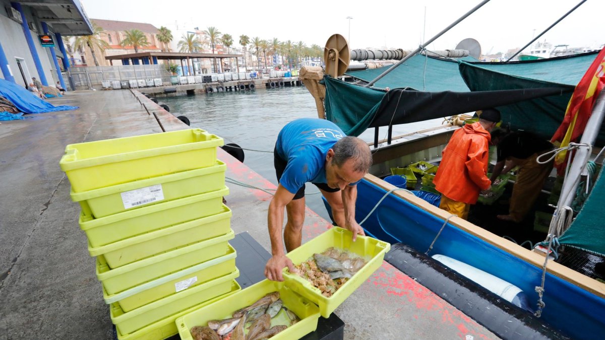 Los pescadores de Cambrils, Tarragona y L’Ametlla de Mar han vuelto al mar este lunes después de la veda biológica.