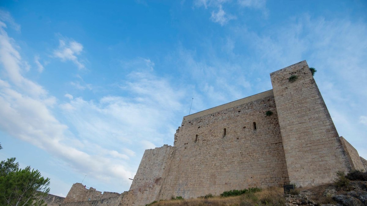 Les activitats s’adrecen a tot tipus de públic.
