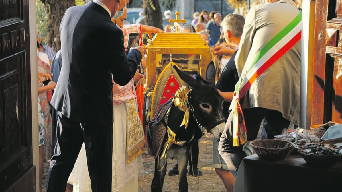 Professó de sant Pròsper, amb la seva relíquia damunt d’un ase com conta la tradició, a Camogli.