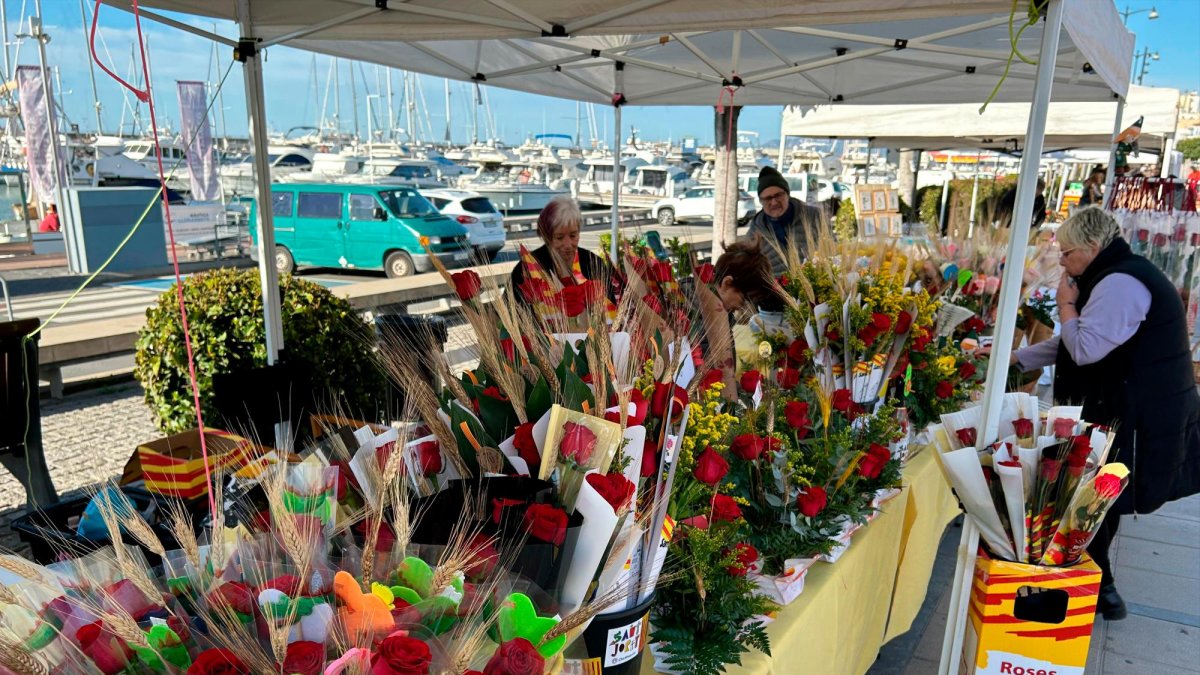 Rosas en el paseo Miramar.