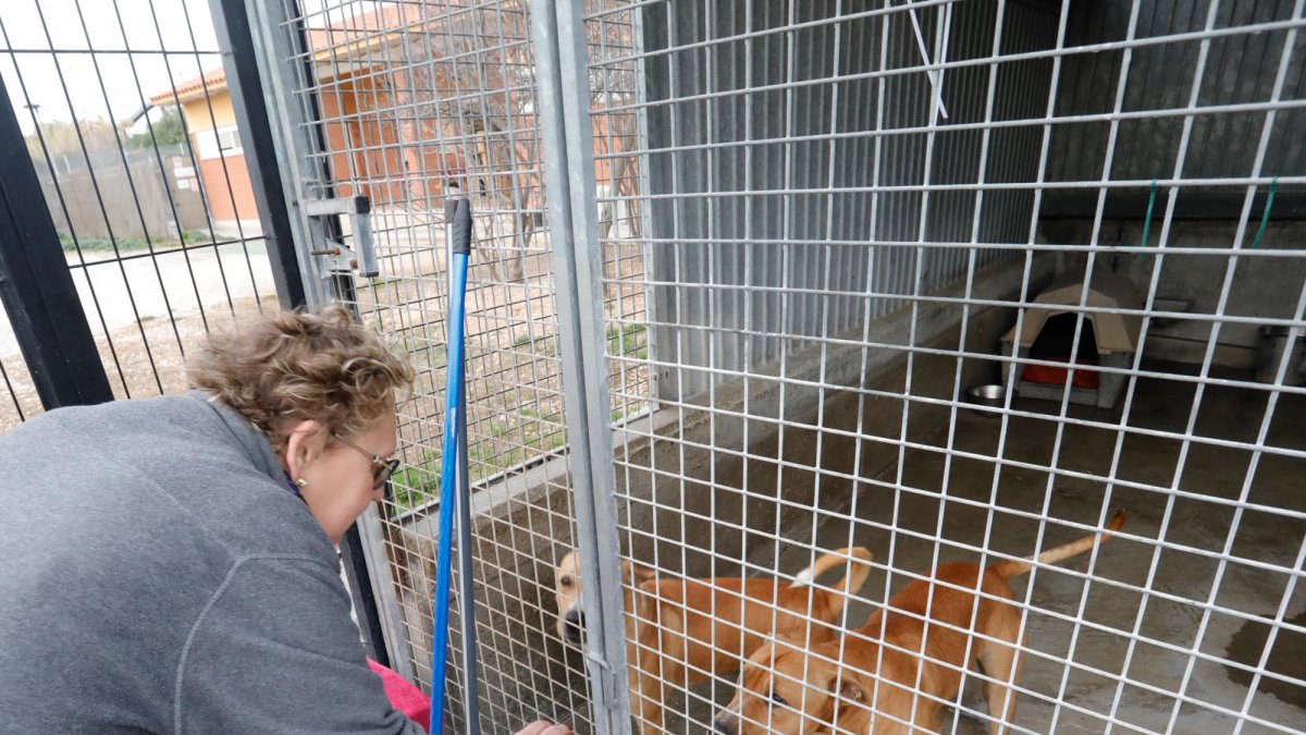 La presidenta de la Protectora d’Animals i Plantes de Tarragona, Núria Güell.