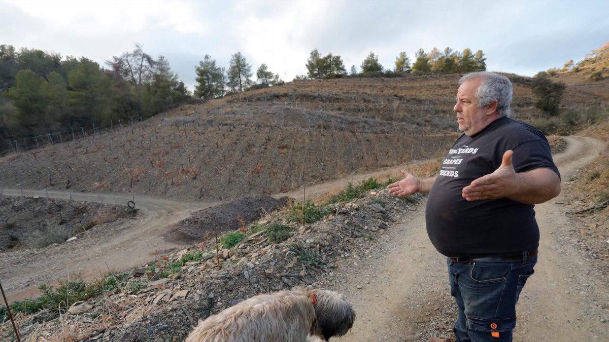 El payés Jordi Aixalà, que cultiva en terrenos de Torroja de Priorat, lamenta que «de las últimas cinco cosechas, tres han sido malas».