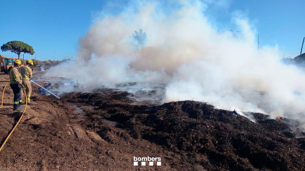 En la zona quemada hay mucha materia vegetal triturada.