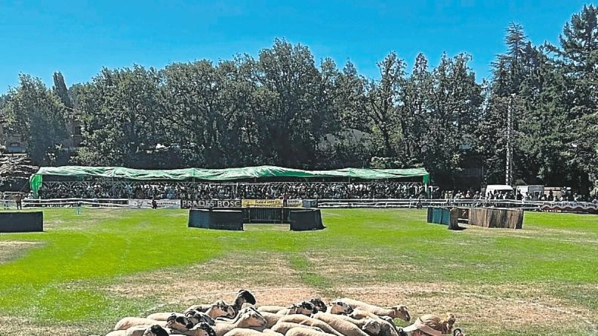 El certamen celebrat l’any passat a Prades.