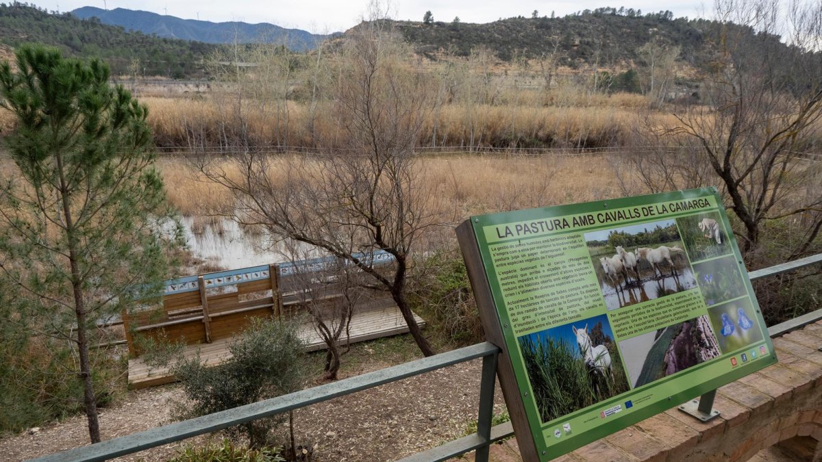 També s’han renovat els tancats de pastura de cavalls de la Camarga.
