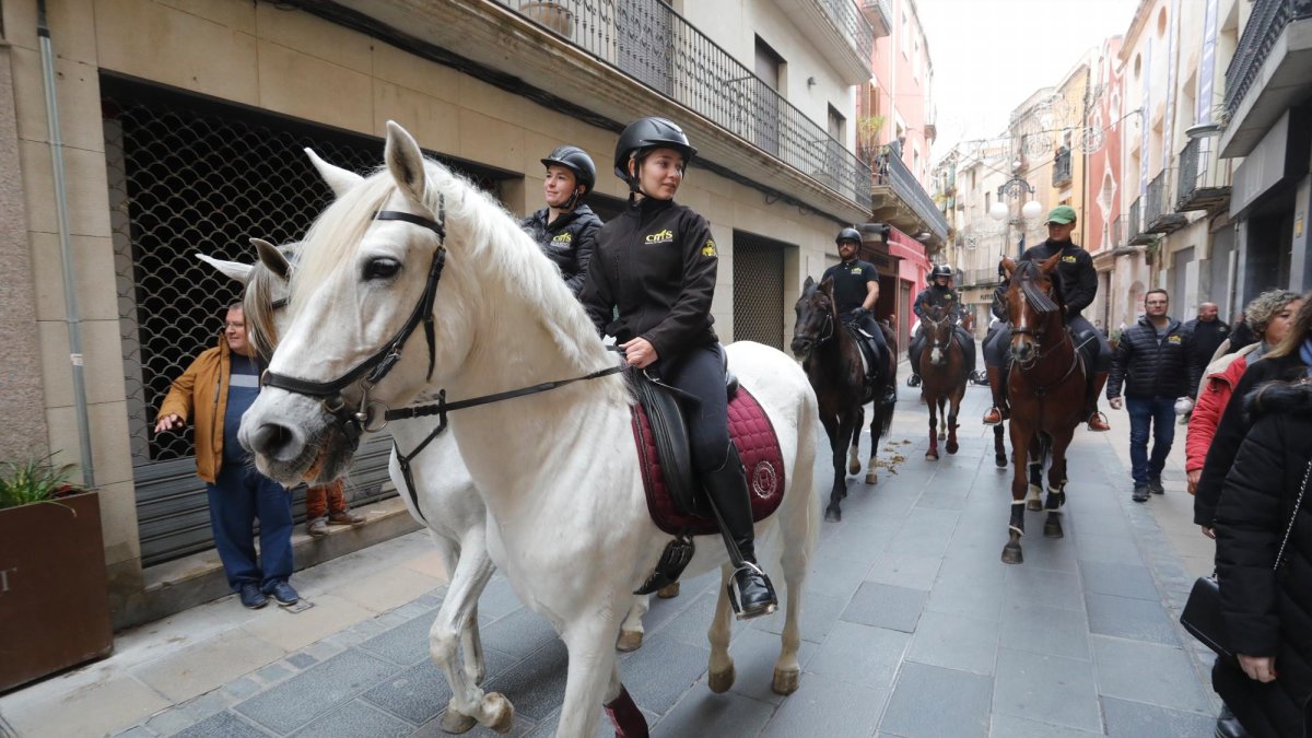 Alguns dels cavalls que van sortir l’any passat durant els Tres Tombs.