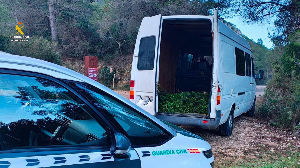 Imagen de la furgoneta con las plantas de lentisco en su interior.