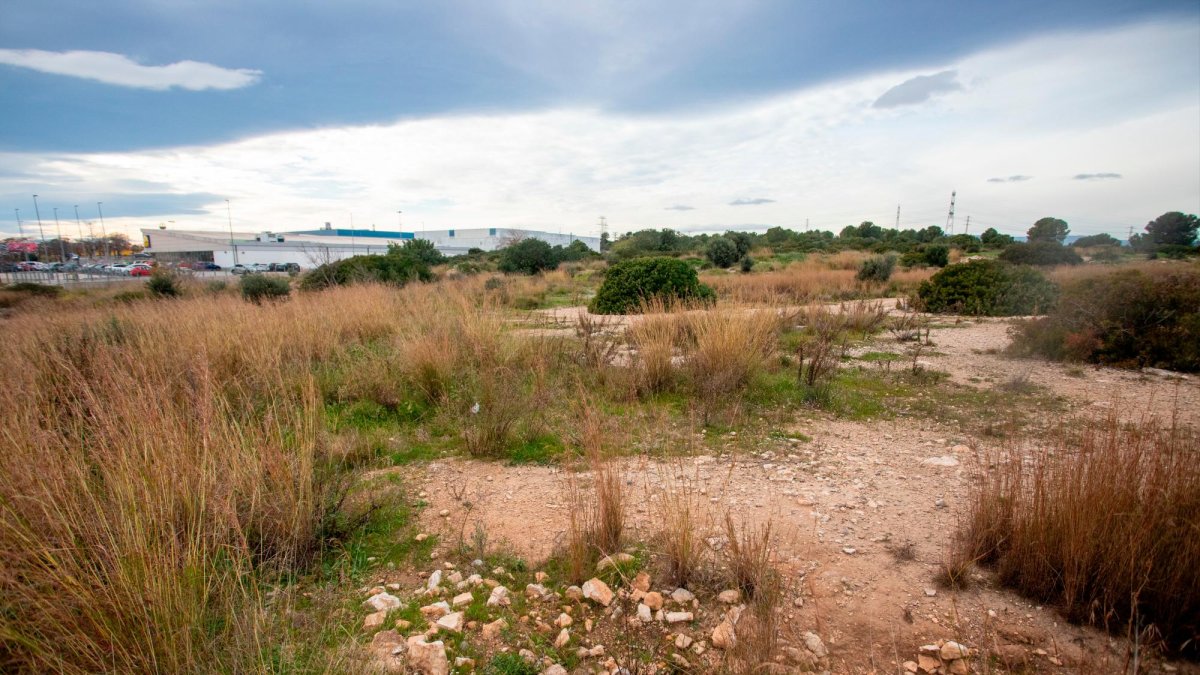 Terrenos que el Ayuntamiento de Tarragona ha puesto a la venta en Les Gavarres.