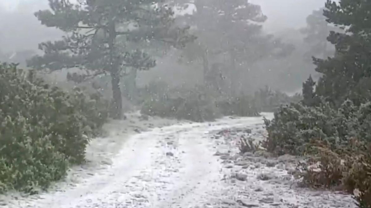 Imagen de uno de los accesos de Els Ports, con una capa fina de nieve.
