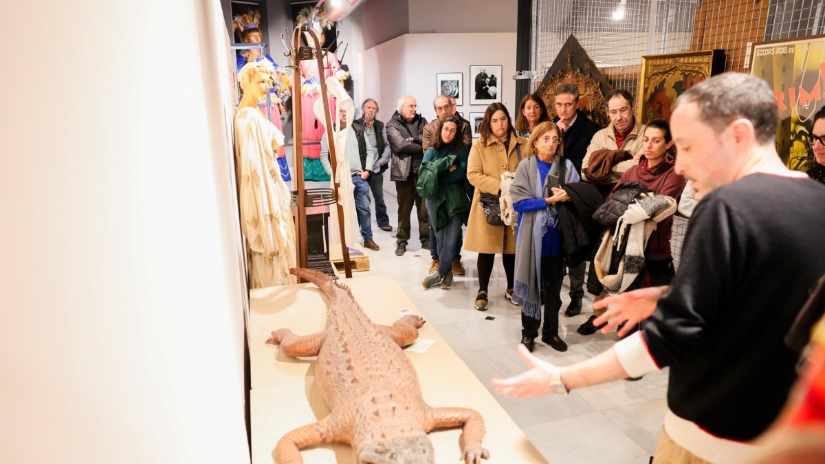 El cocodril dissecat del museu és l’única peça de taxidèrmia de tota la col·lecció.