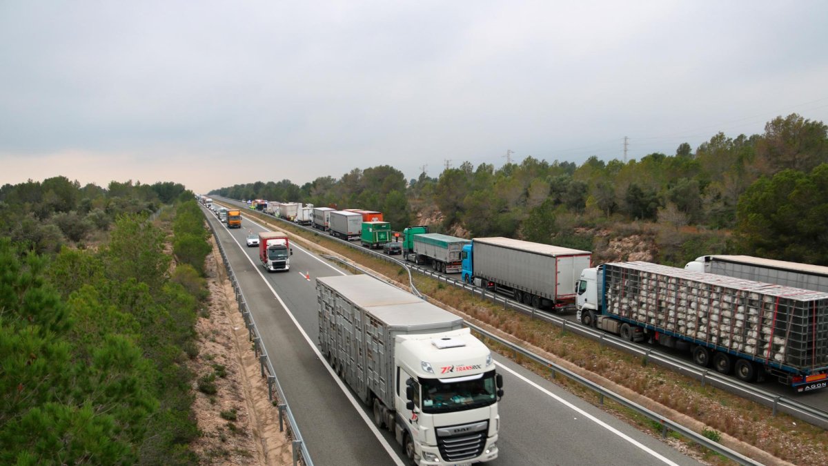 Camiones bloqueados en el accidente del viernes en la AP-7.