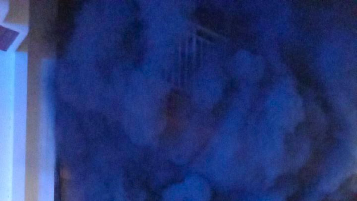 Los bomberos y la gran columna de humo que salía de la tienda.