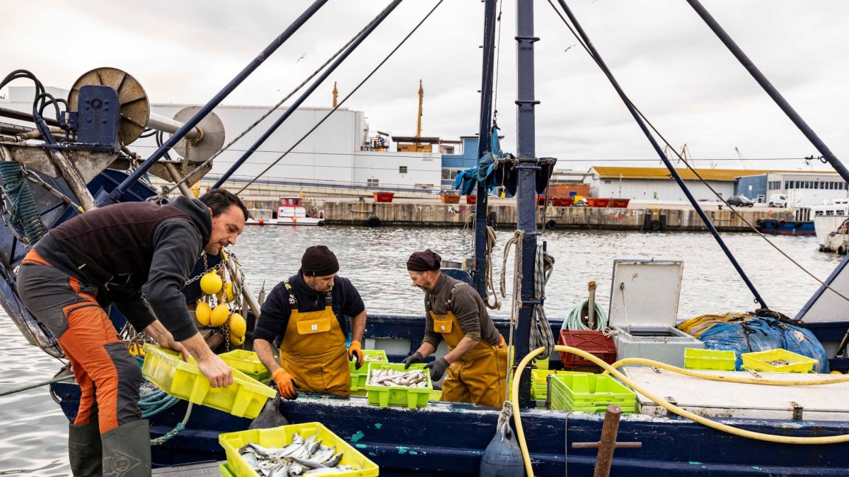 Los pescadores llevan días sin salir por culpa del temporal.