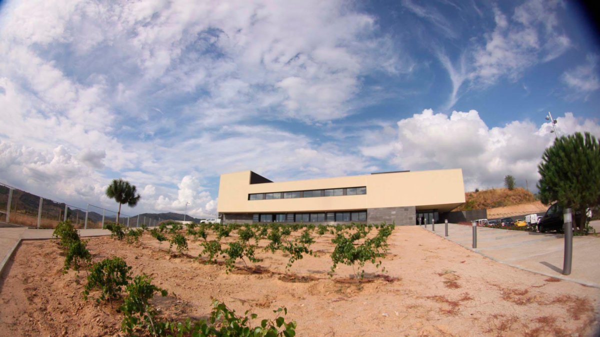 La seu central de VITEC està ubicada a Falset, la capital del Priorat.