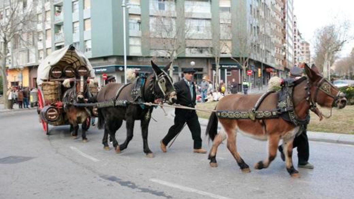 Imatge d’una edició passada dels Tres Tombs de Reus.