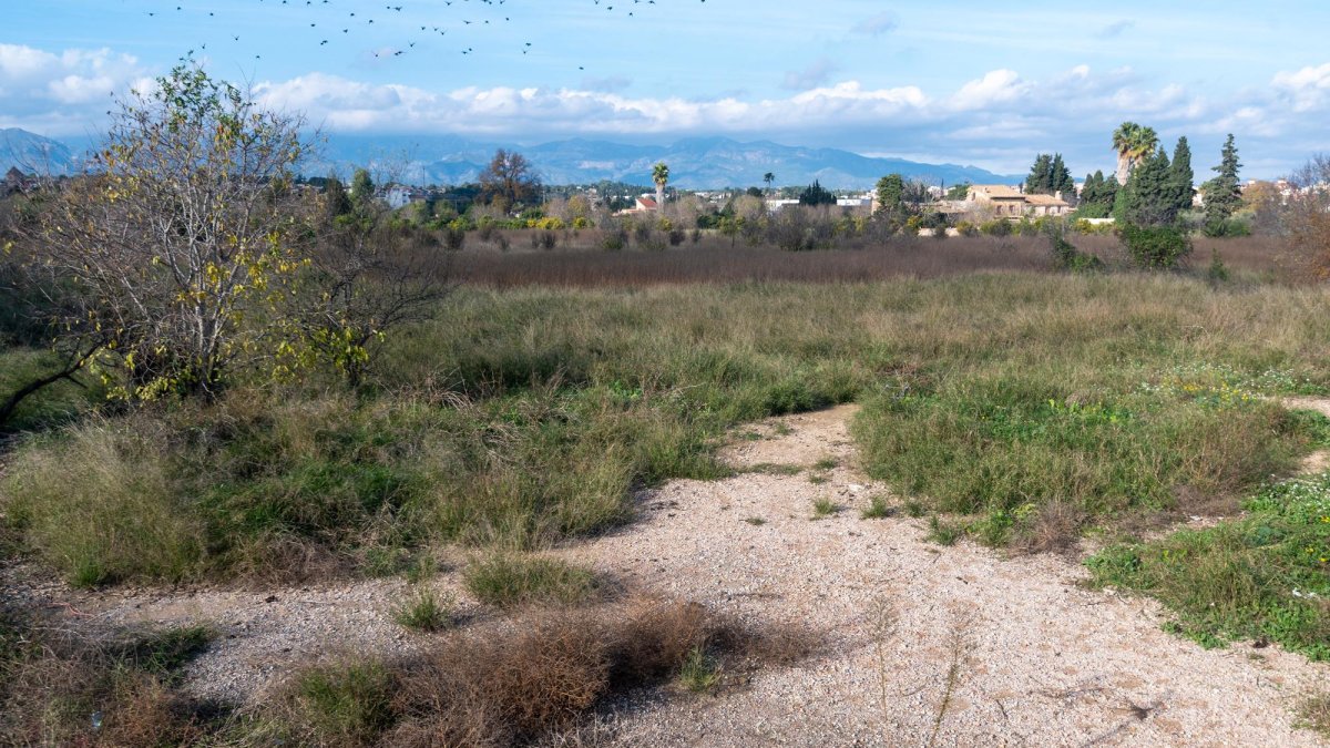 Els terrenys del pla parcial Camí de Roquetes, a Tortosa.
