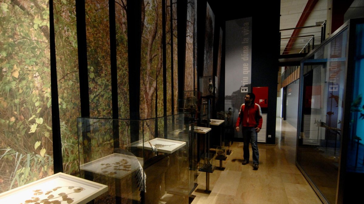 El Museu de les Terres de l'Ebre, a Amposta.