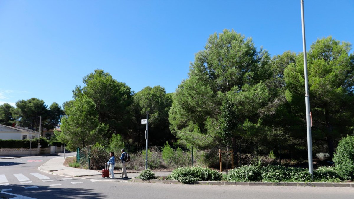 El Ayuntamiento ha cedido unos terrenos entre la avenida Pla de Maset y la calle Fonoll.