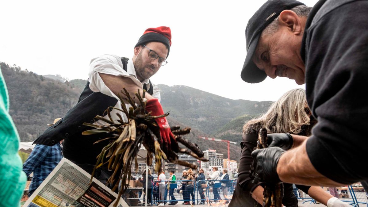 Preparant els calçots de la calçotada popular de Valls a Andorra la Vella.