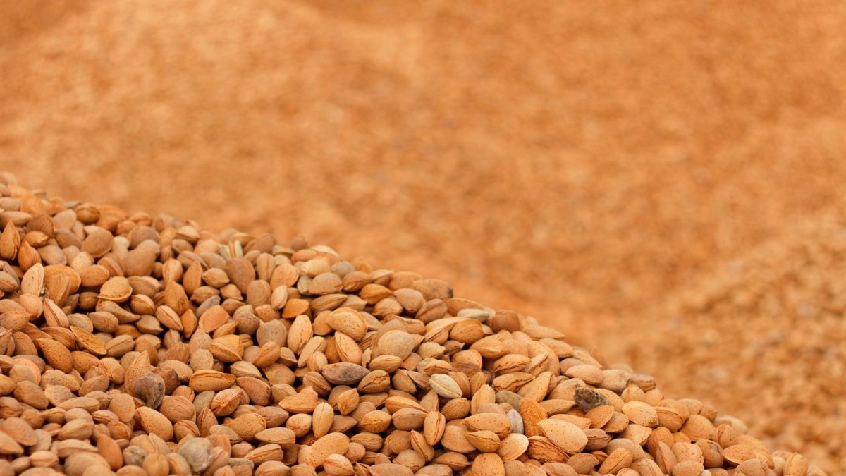 Las almendras son el principal producto de esta empresa.