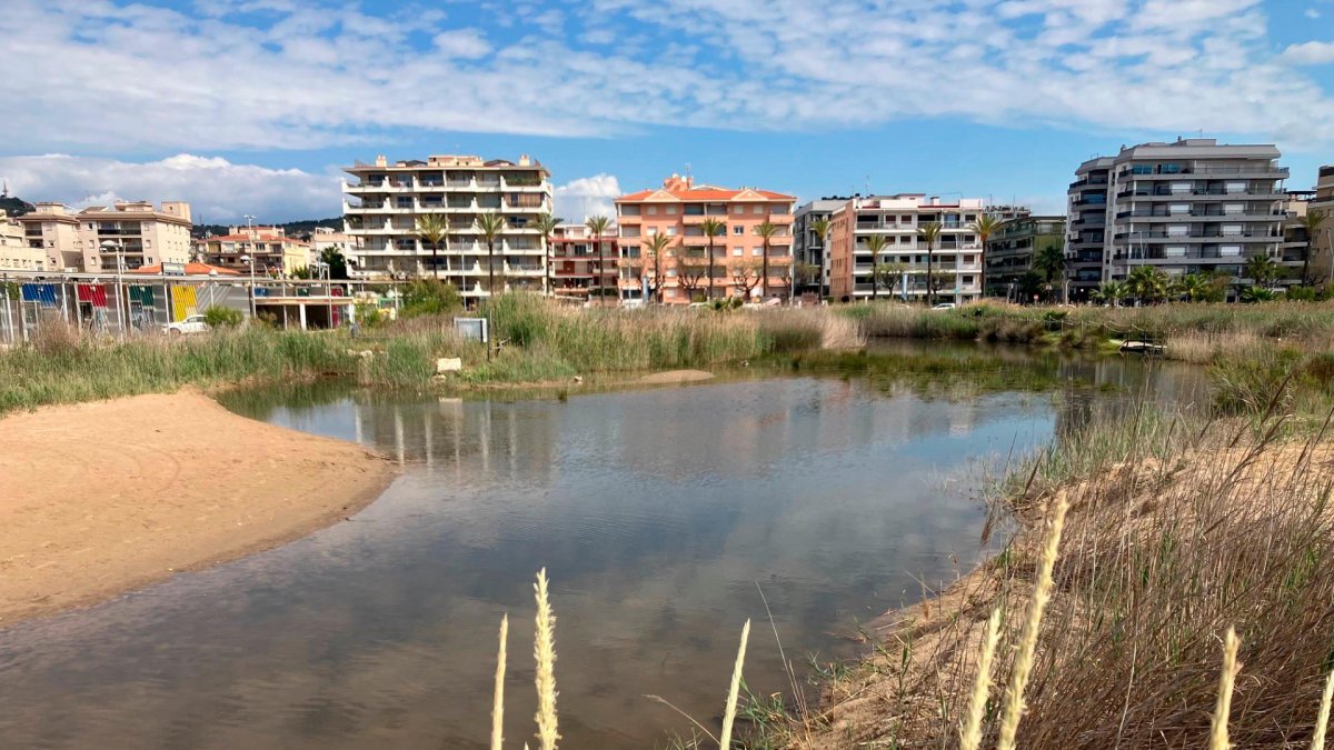 Una de las lagunas junto al puerto de Segur de Calafell.