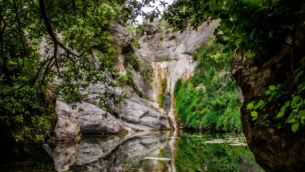 El Niu de l’Àliga, en Alcover, en el Baix Camp.
