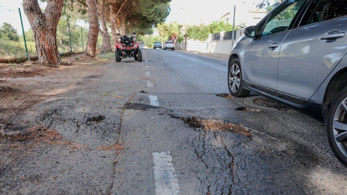 La calle Pal, a la que los vecinos llaman «el Dragon Khan» por el efecto de las raíces en el asfalto.
