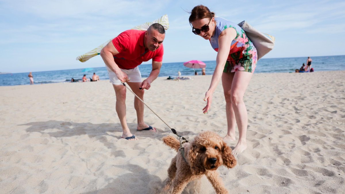 La zona de convivencia con perros que Salou ha delimitado cerca de la plaza Venus.