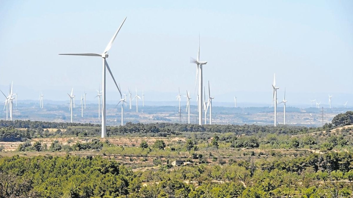 Un parc eòlic de la comarca de la Terra Alta.