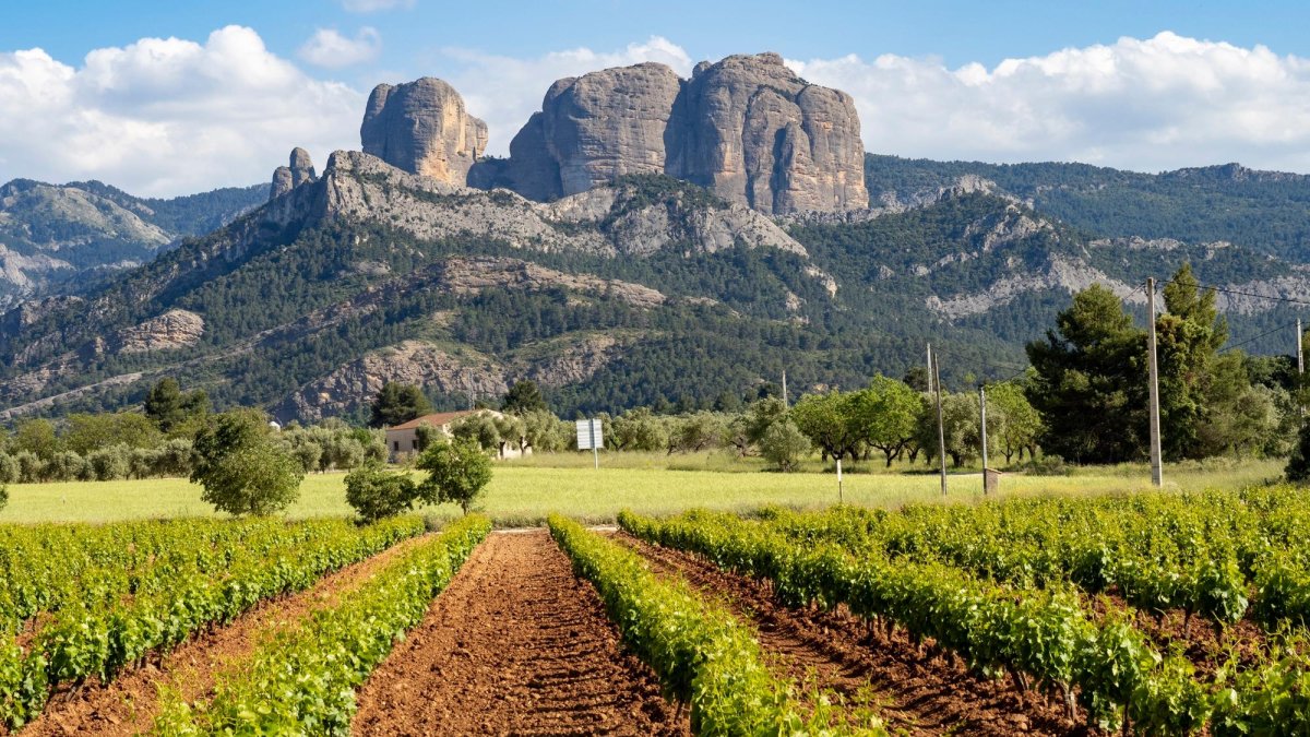 Viñedos y, al fondo, las impresionantes Roques d’en Benet, en la Terra Alta.
