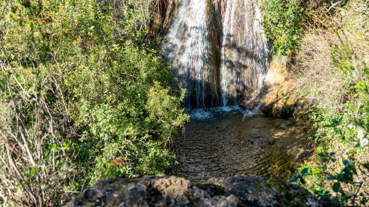 Una de las colas de caballo de Les Tosques.