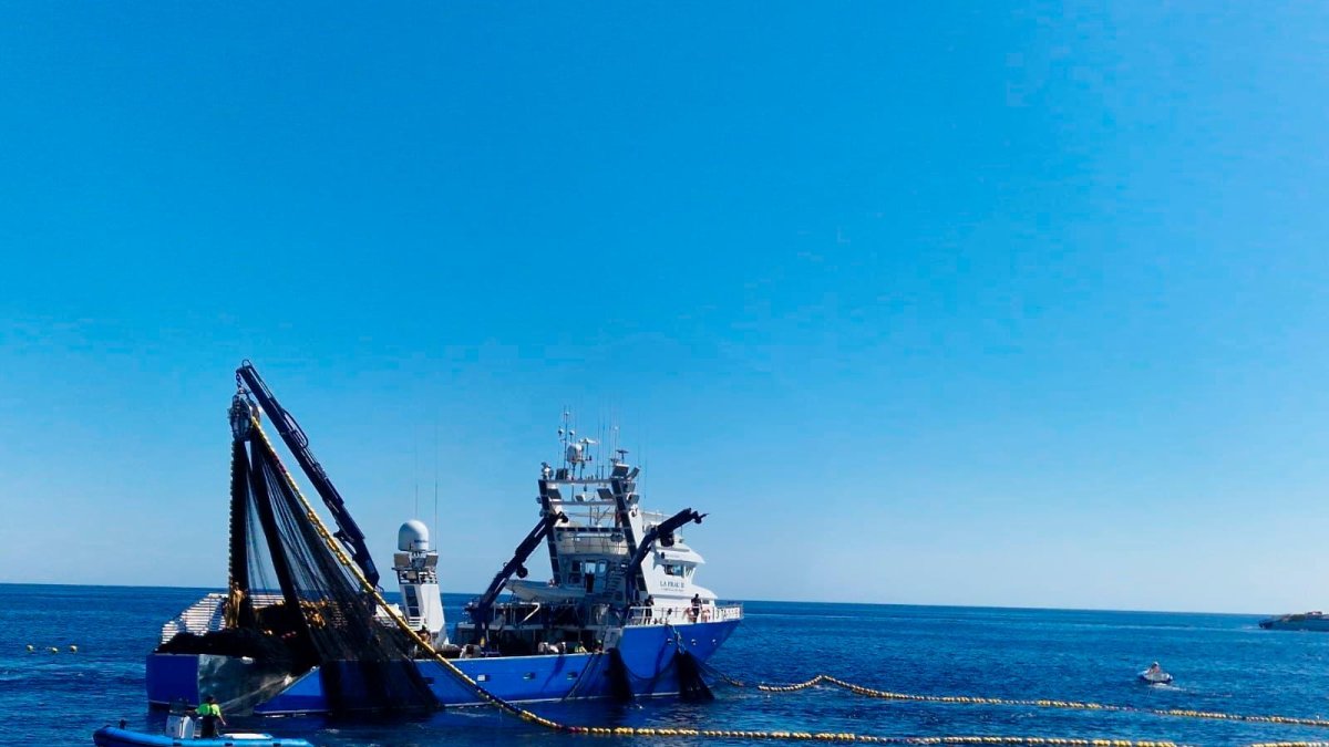 Una de les embarcacions de la flota tonyinaire.