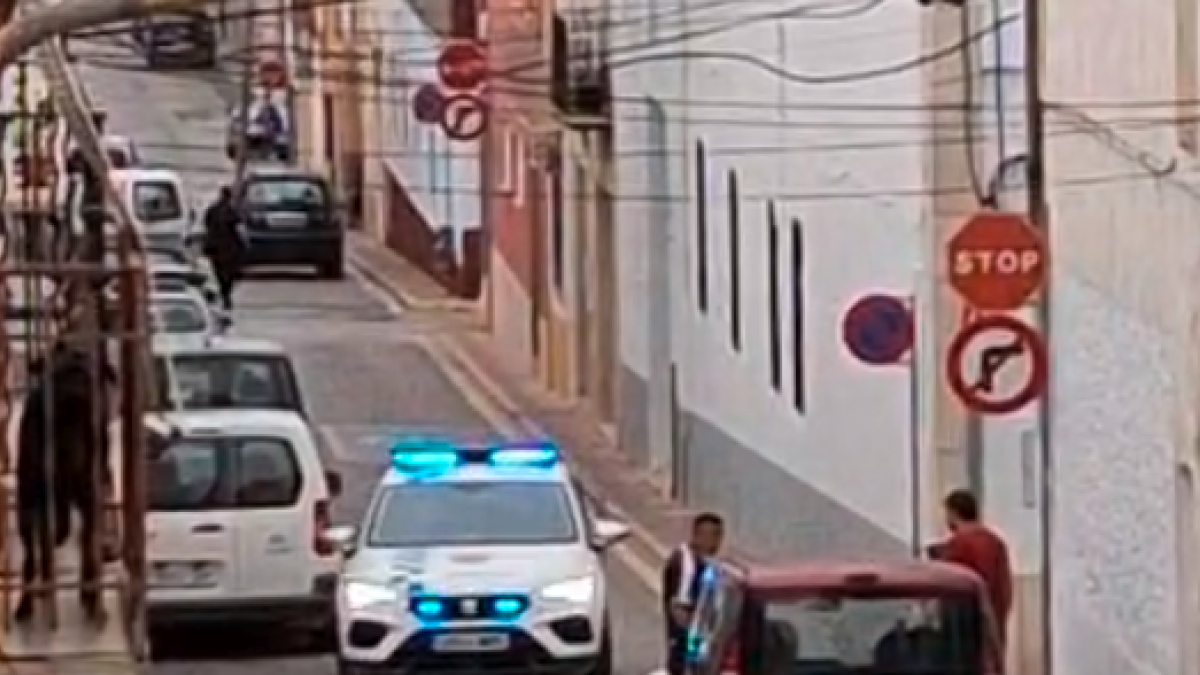 Los hechos se han producido en el núcleo urbano de Alcanar.