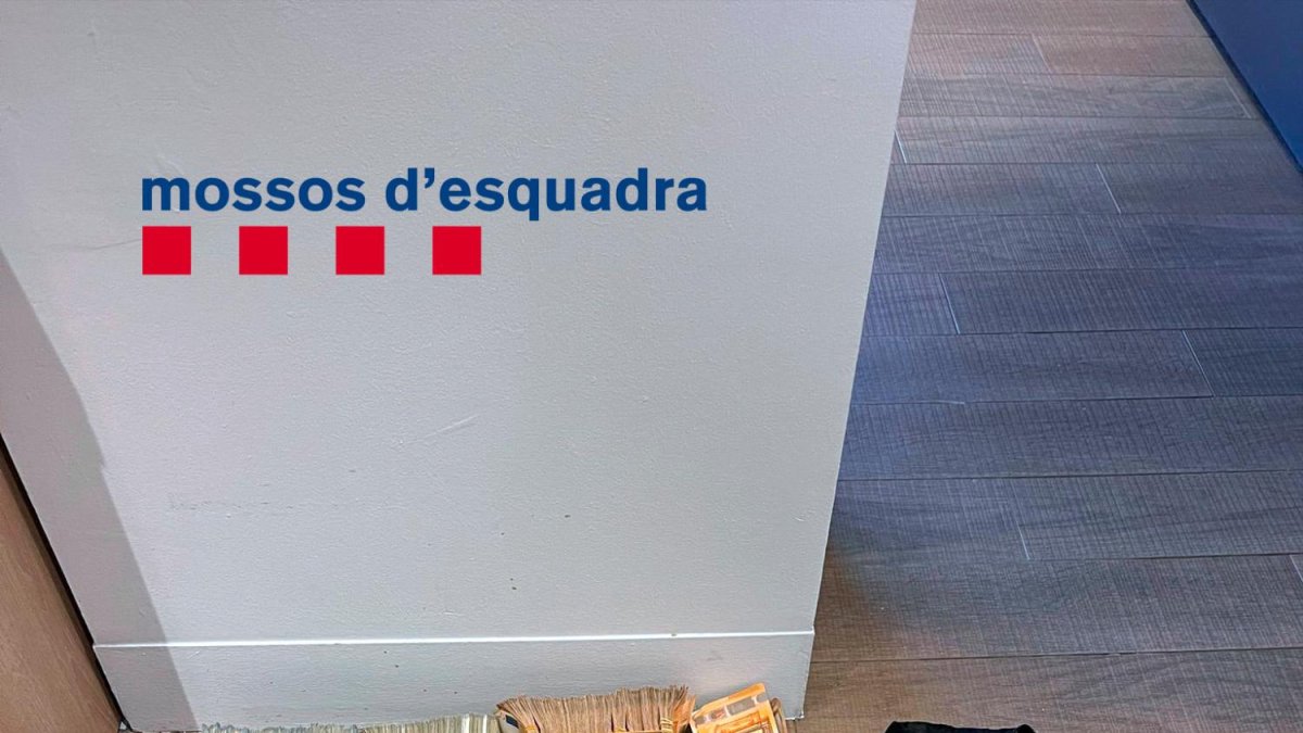 La bolsa deportiva con el botín de 140.000 euros en efectivo.