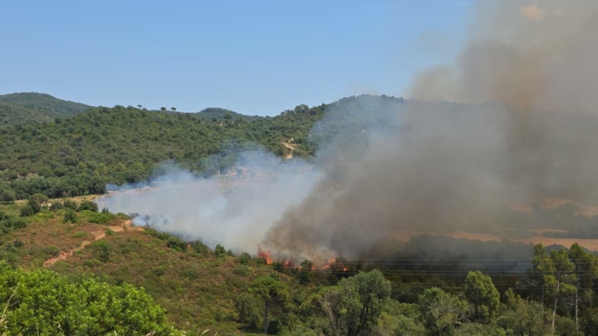 Imagen del incendio forestal que se ha declarado hoy en Girona