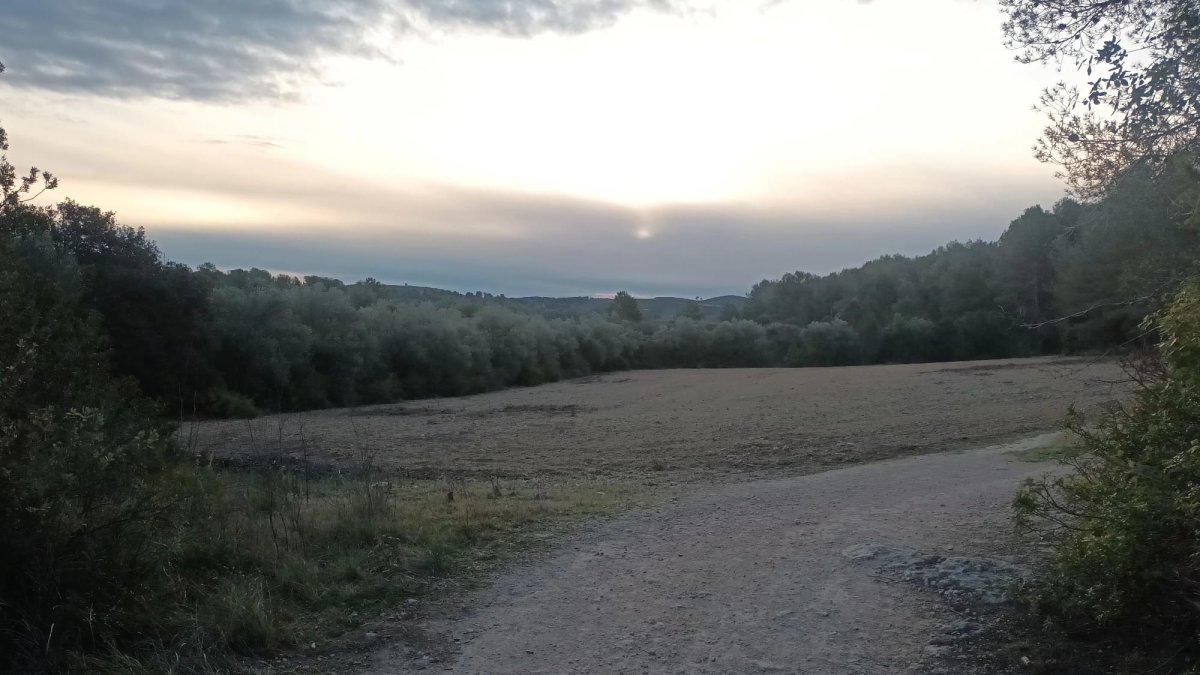 Imagen del entorno de Llevant en el que Tarraco Esports quiere construir el hub de fútbol.