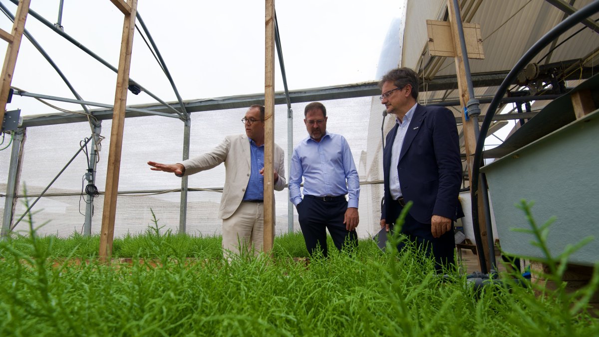 Visita a les instal·lacions de l'IRTA a la Ràpita.