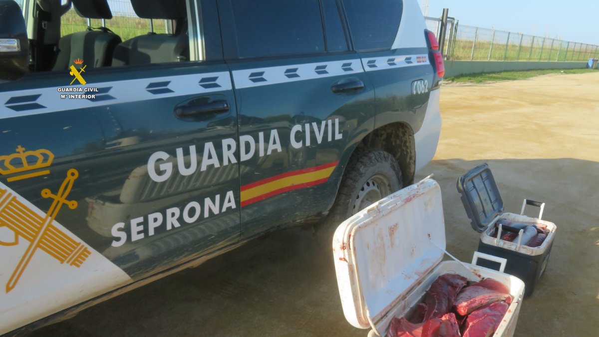 Atún intervenido por la guardia civil.