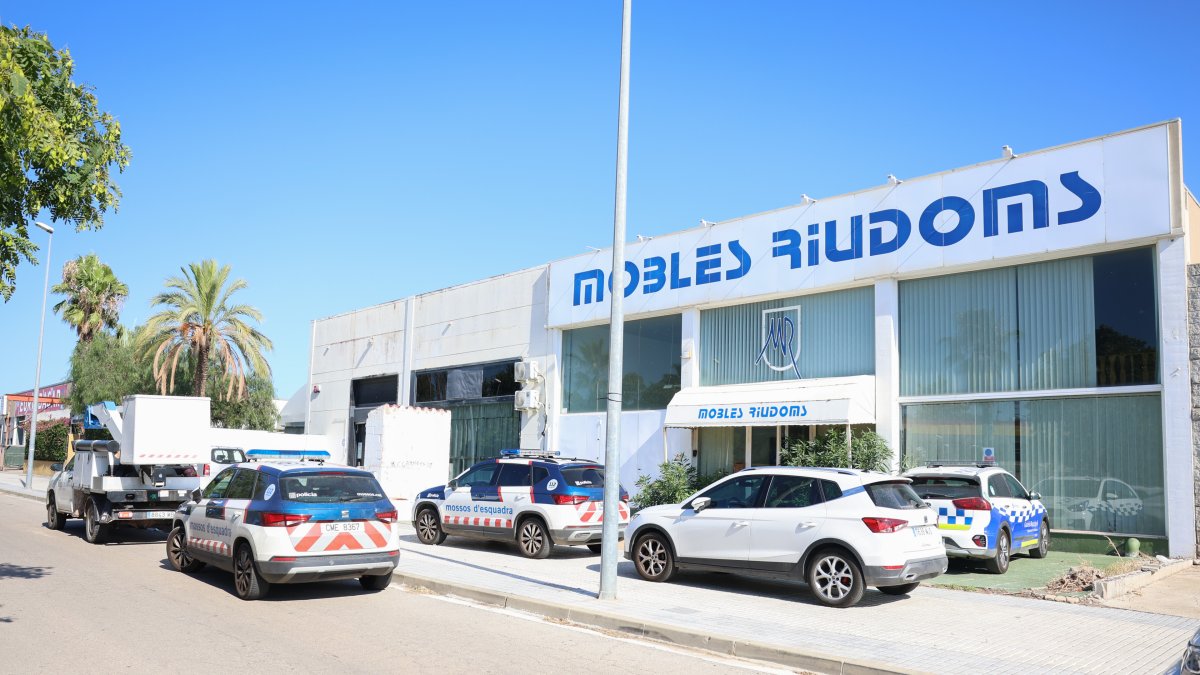 Imagen del operativo de Mossos d'Esquadra y Guàrdia Municipal realizado en una nave de Riudoms donde se han encontrado 1582 plantas de marihuana