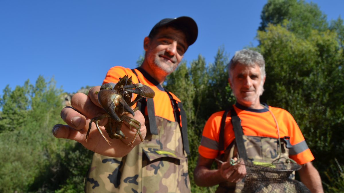 Rubén Alcázar, mostrant un cranc senyal, i Fèlix amb una de les trampes.