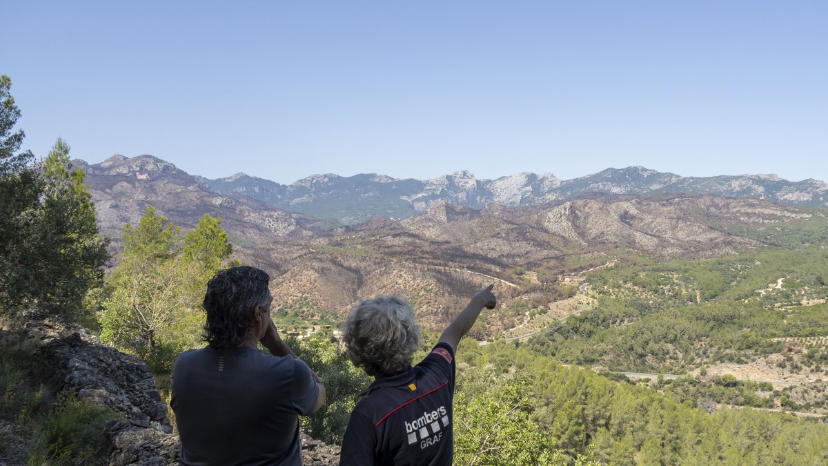 La superfície cremada de Paüls des del Coll de Som.