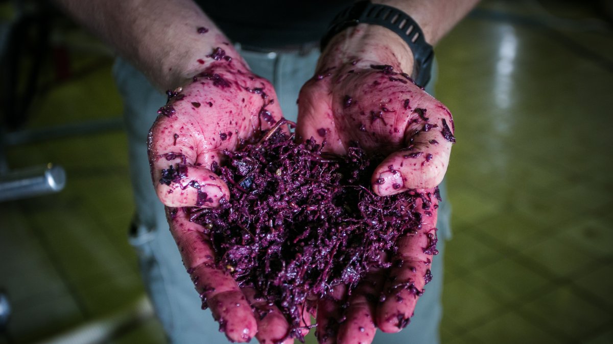 El vino va más allá de fermentación, maceración y crianza. Se pueden utilizar hasta sesenta aditivos distintos durante su elaboración.